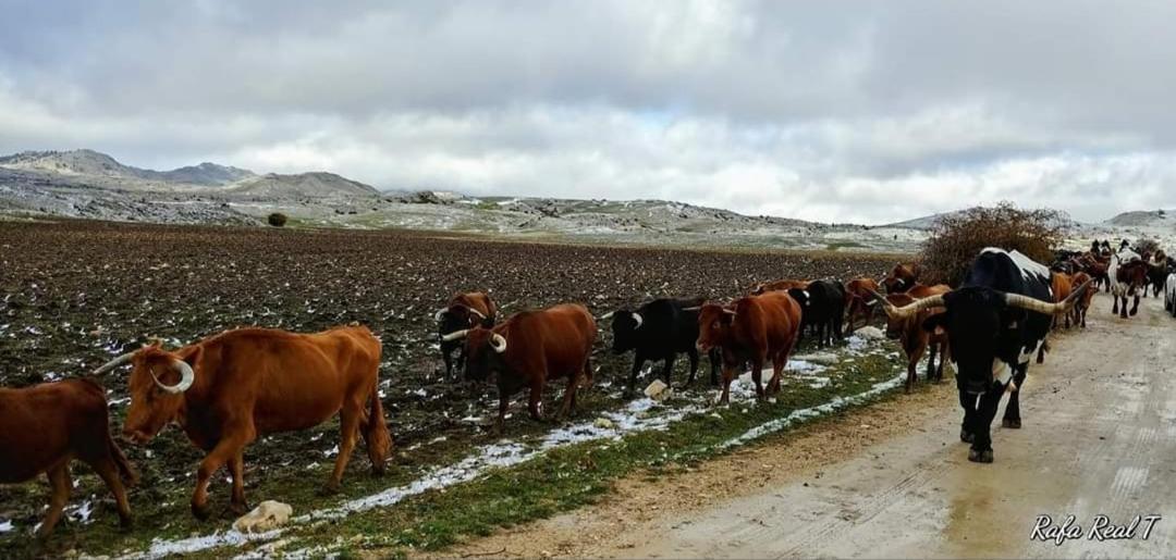 Alojamiento Rural El Penon De Hornos Exteriör bild